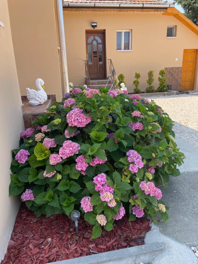 Toerpi Apartman Halmaj Luaran gambar